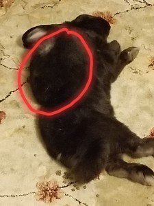 Overgrown tumor