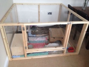 Acrylic rabbit clearance cage