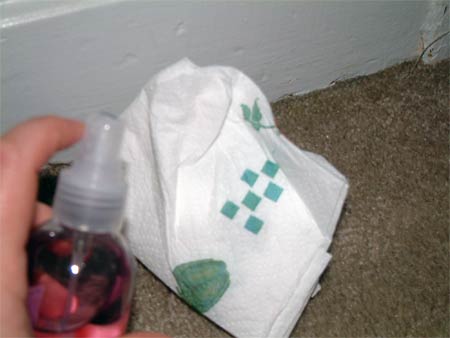 HPPerfumePaperTowel.jpg