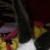 Profile picture of Minzi