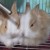 Profile picture of Istel