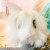 Profile picture of Lolabunny20