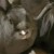Profile picture of Bunbunlover