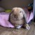 Profile picture of Mochacaramel