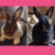Profile picture of Rue and Bo