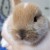 Profile picture of Lily
