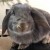 Profile picture of Benny