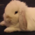 Profile picture of Nathan M