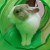 Profile picture of PrettyPriscilla