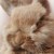 Profile picture of Meredith1