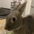 Profile picture of Lucyy