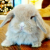 Profile picture of Bunmama