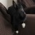 Profile picture of Emeli
