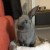 Profile picture of sokkabuns