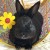 Profile picture of onyxbun