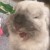 Profile picture of Gimmekiss23