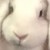 Profile picture of nâo