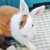 Profile picture of Murfy_thebunny