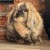 Profile picture of Rambobunny
