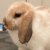 Profile picture of Roz