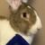 Profile picture of Jeanie