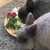 Profile picture of Alice and Islay