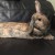 Profile picture of Baileybaby