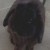 Profile picture of Chippy