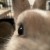 Profile picture of Tasha