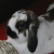 Profile picture of MaryAnn Z