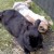 Profile picture of Bunbun342