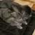 Profile picture of Pepper94