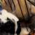 Profile picture of Honey&Buster