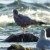 Profile picture of NorthWind