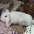 Profile picture of Lola88