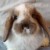 Profile picture of annandkiko