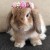 Profile picture of BunnyLover1233