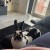 Profile picture of _Amber+Rubin_
