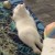 Profile picture of Digobun