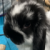 Profile picture of Karine