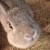 Profile picture of LynnAndFlower