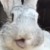 Profile picture of Meme