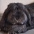 Profile picture of Gabbie & Alphonse