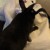 Profile picture of nibbies