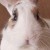 Profile picture of sLewshee