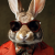 Profile picture of bunniesditto