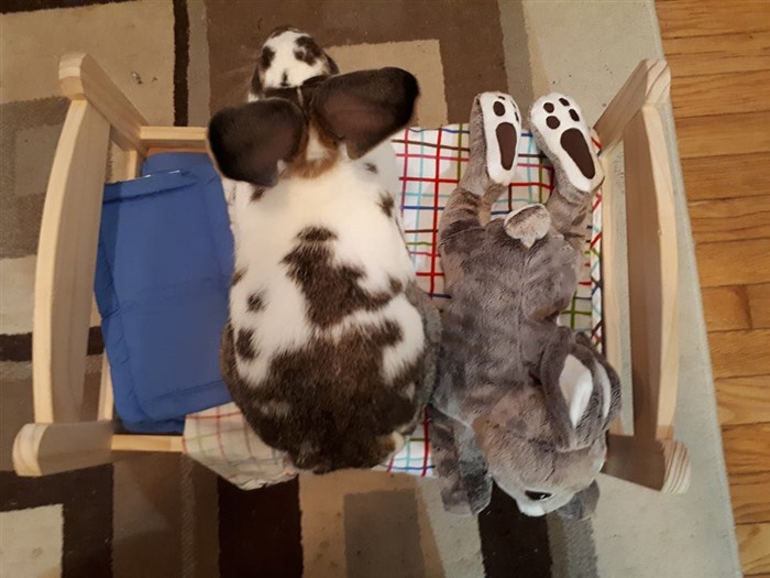 Ikea bunny clearance bed