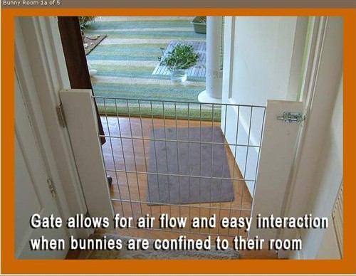pet gate for rabbits