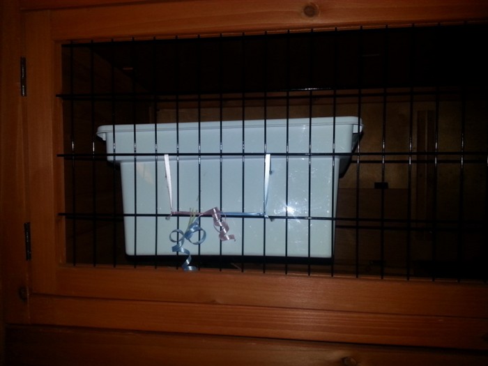 hay racks BinkyBunny