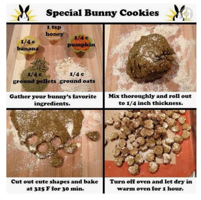 Homemade Bunny Treats Rdttcollege Org - How To Make Diy Bunny Treats